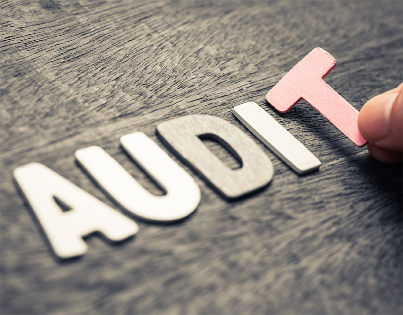 AUDIT