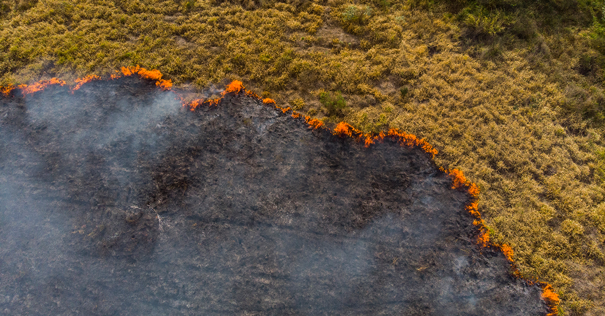 Climate Change Legislation Implications for Insurers