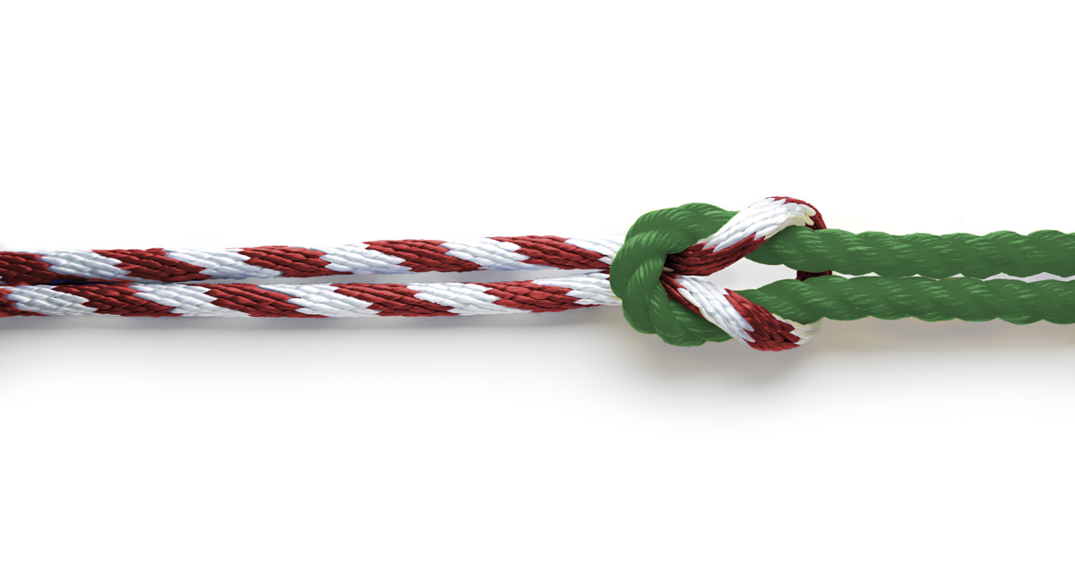 NFP unifies business name in Canada