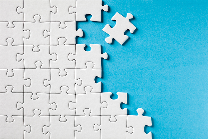 Puzzle Pieces