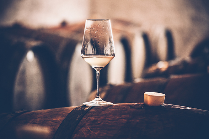 Wine cellar